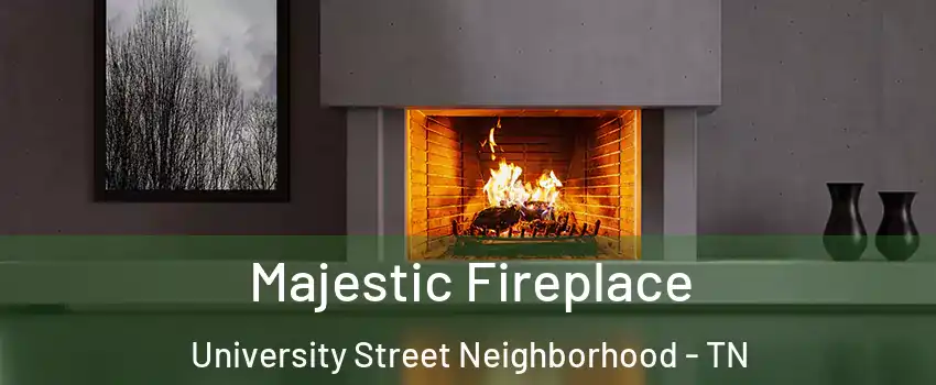 Majestic Fireplace University Street Neighborhood - TN