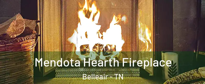 Mendota Hearth Fireplace Belleair - TN