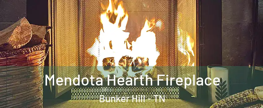 Mendota Hearth Fireplace Bunker Hill - TN