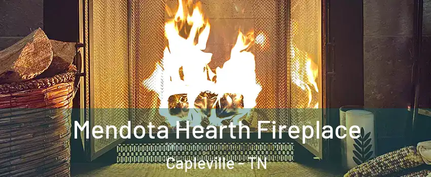 Mendota Hearth Fireplace Capleville - TN