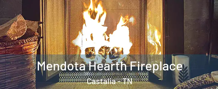 Mendota Hearth Fireplace Castalia - TN