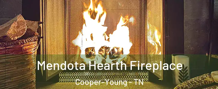 Mendota Hearth Fireplace Cooper-Young - TN