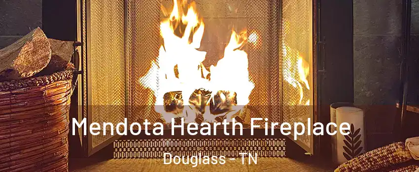 Mendota Hearth Fireplace Douglass - TN