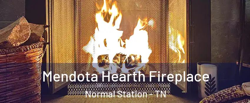 Mendota Hearth Fireplace Normal Station - TN