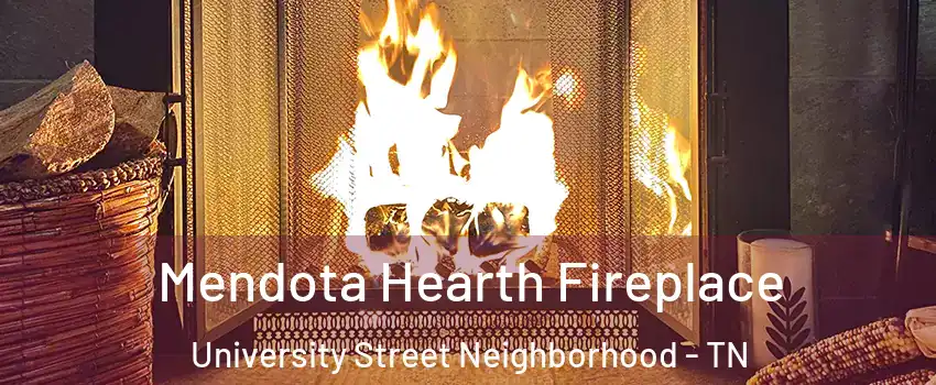 Mendota Hearth Fireplace University Street Neighborhood - TN