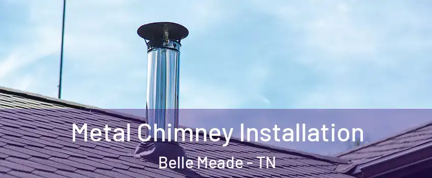 Metal Chimney Installation Belle Meade - TN