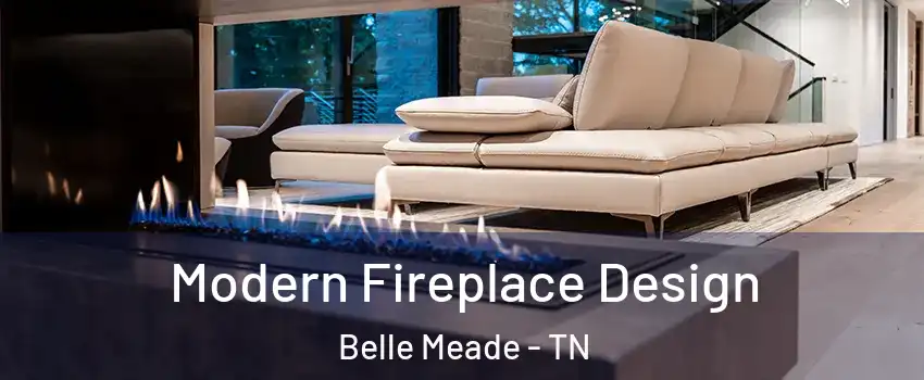 Modern Fireplace Design Belle Meade - TN