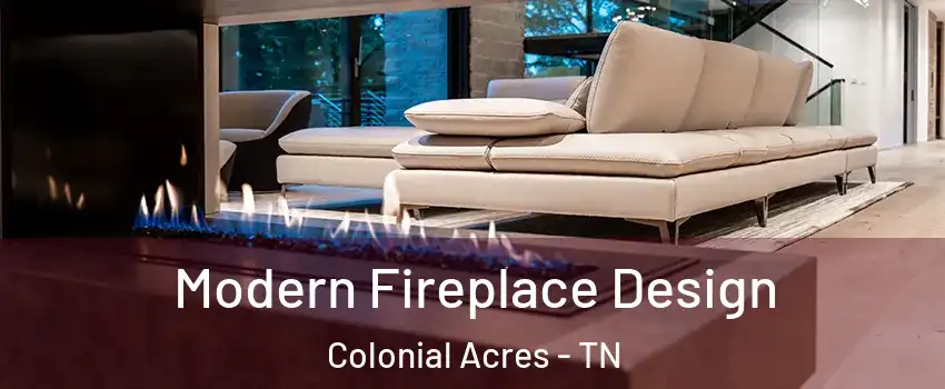 Modern Fireplace Design Colonial Acres - TN