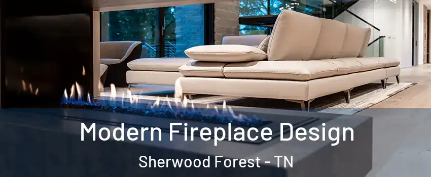 Modern Fireplace Design Sherwood Forest - TN