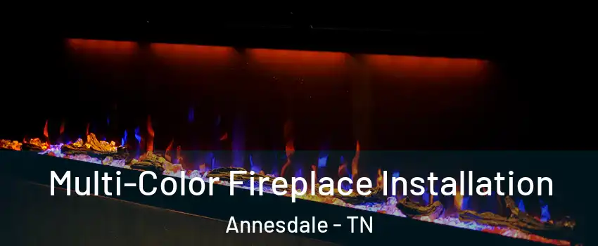 Multi-Color Fireplace Installation Annesdale - TN