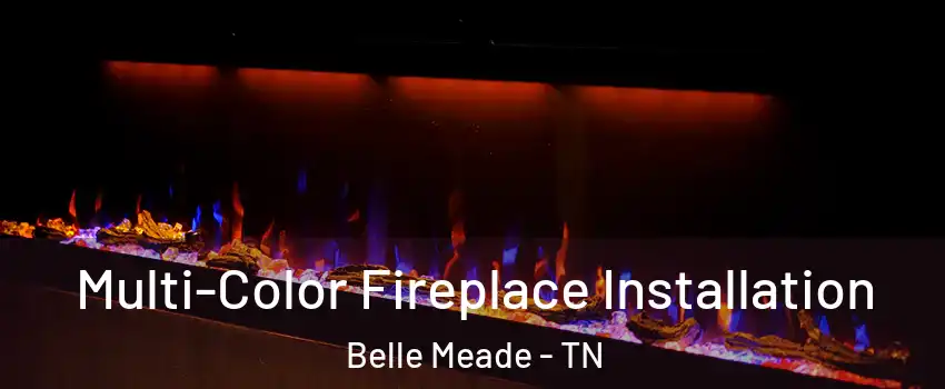 Multi-Color Fireplace Installation Belle Meade - TN