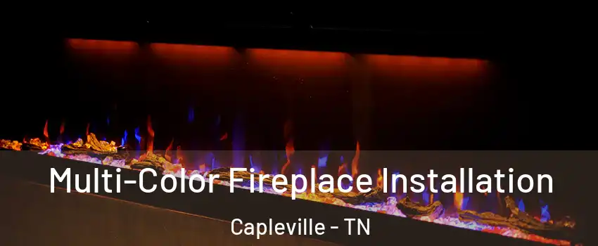 Multi-Color Fireplace Installation Capleville - TN