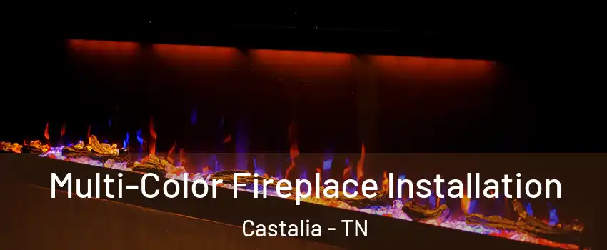 Multi-Color Fireplace Installation Castalia - TN