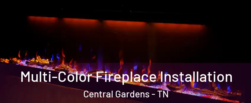 Multi-Color Fireplace Installation Central Gardens - TN