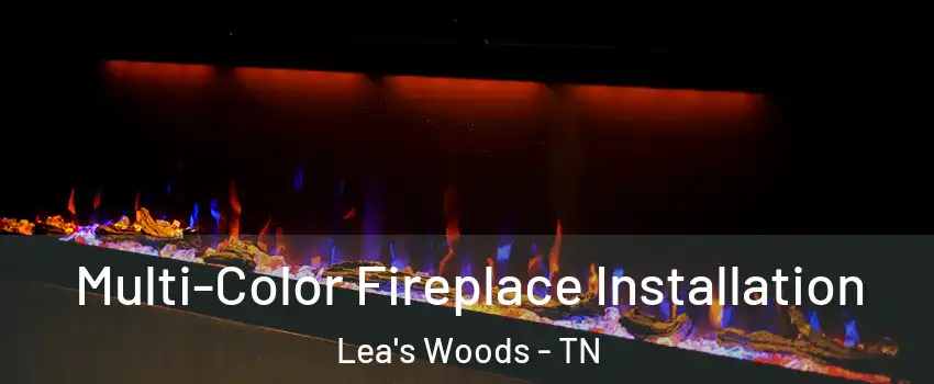 Multi-Color Fireplace Installation Lea's Woods - TN