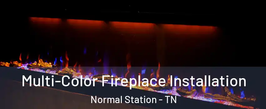 Multi-Color Fireplace Installation Normal Station - TN