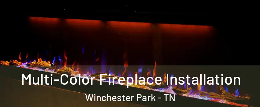 Multi-Color Fireplace Installation Winchester Park - TN