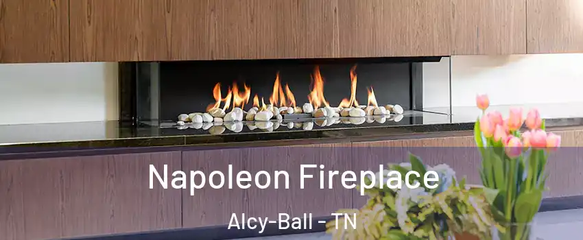 Napoleon Fireplace Alcy-Ball - TN