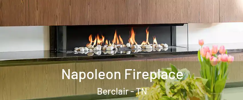 Napoleon Fireplace Berclair - TN