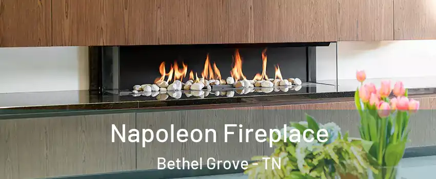 Napoleon Fireplace Bethel Grove - TN