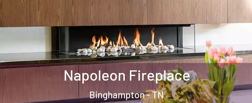 Napoleon Fireplace Binghampton - TN