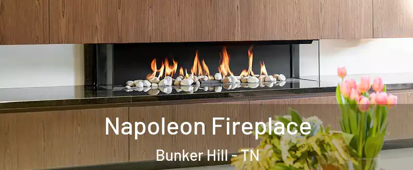 Napoleon Fireplace Bunker Hill - TN