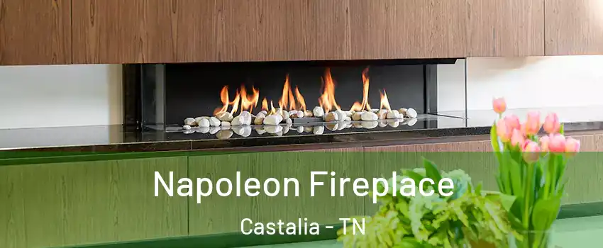 Napoleon Fireplace Castalia - TN