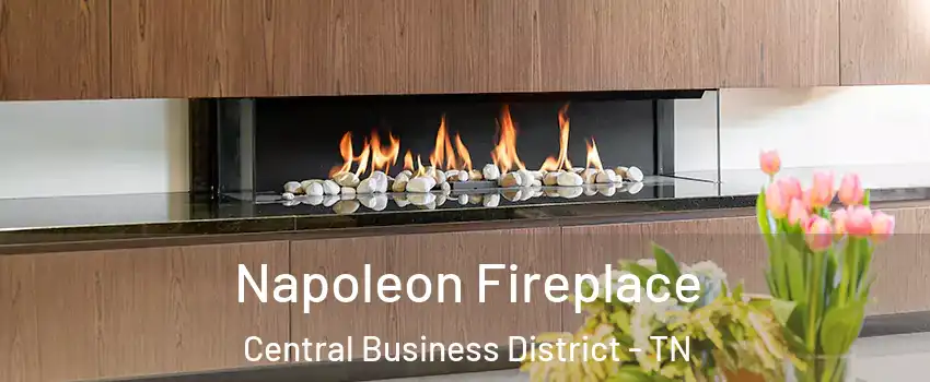 Napoleon Fireplace Central Business District - TN