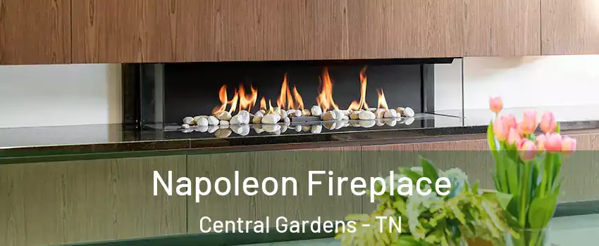 Napoleon Fireplace Central Gardens - TN