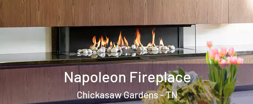 Napoleon Fireplace Chickasaw Gardens - TN