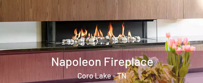 Napoleon Fireplace Coro Lake - TN