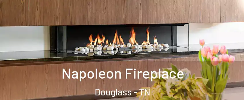 Napoleon Fireplace Douglass - TN