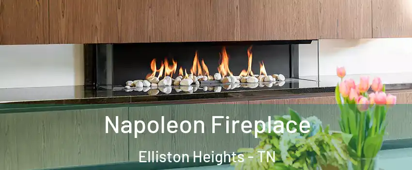 Napoleon Fireplace Elliston Heights - TN