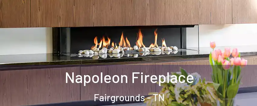 Napoleon Fireplace Fairgrounds - TN