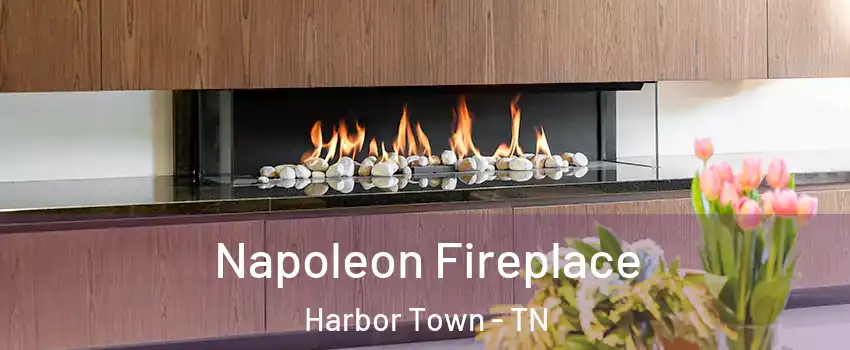 Napoleon Fireplace Harbor Town - TN