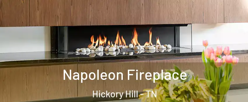 Napoleon Fireplace Hickory Hill - TN