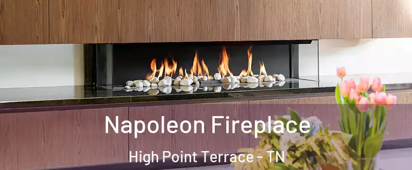 Napoleon Fireplace High Point Terrace - TN