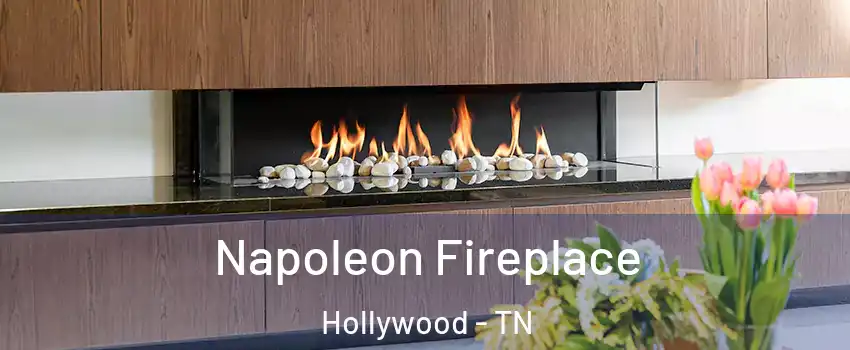 Napoleon Fireplace Hollywood - TN