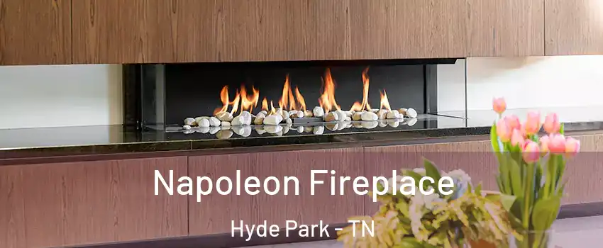 Napoleon Fireplace Hyde Park - TN