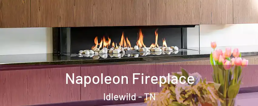 Napoleon Fireplace Idlewild - TN