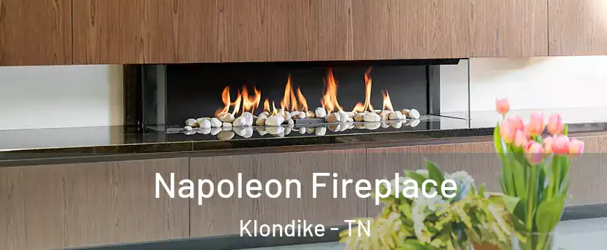 Napoleon Fireplace Klondike - TN