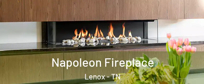 Napoleon Fireplace Lenox - TN