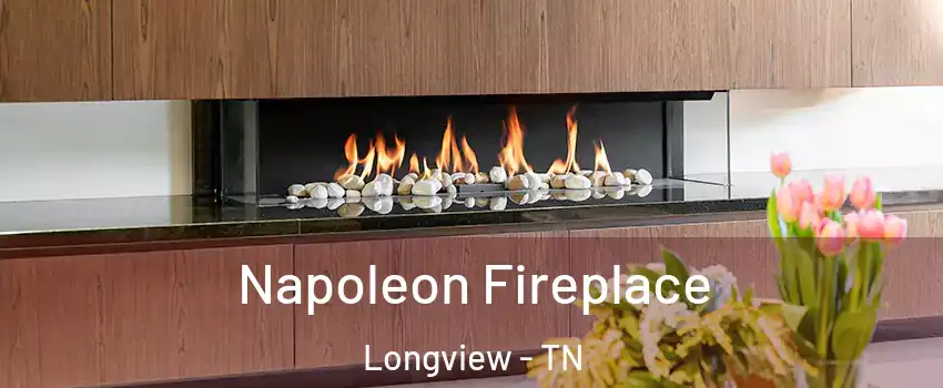 Napoleon Fireplace Longview - TN