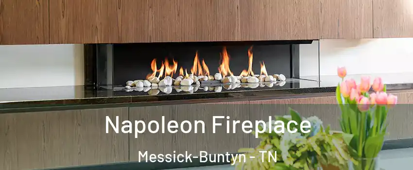 Napoleon Fireplace Messick-Buntyn - TN