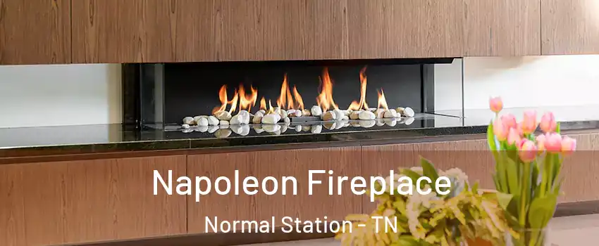 Napoleon Fireplace Normal Station - TN