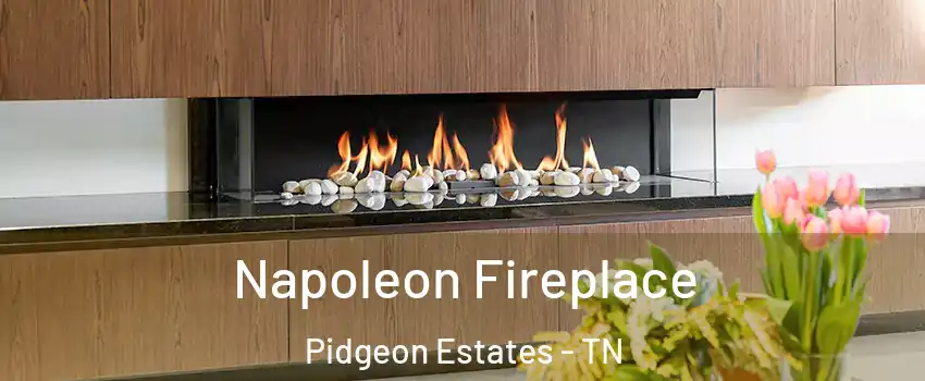 Napoleon Fireplace Pidgeon Estates - TN