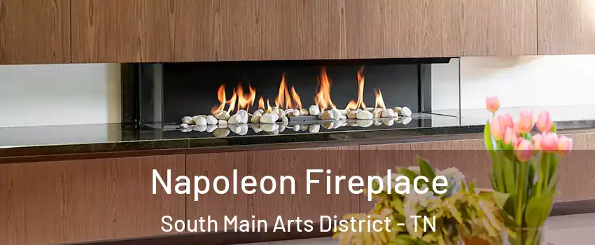 Napoleon Fireplace South Main Arts District - TN