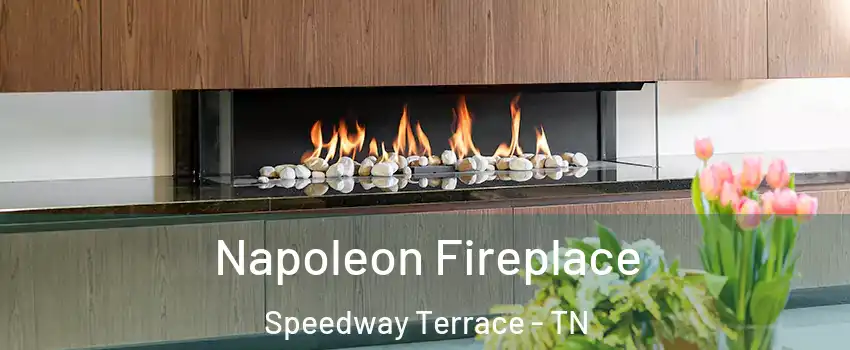 Napoleon Fireplace Speedway Terrace - TN