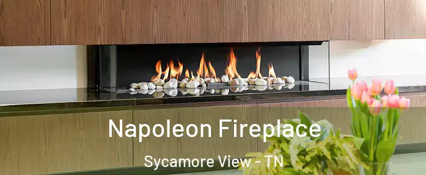 Napoleon Fireplace Sycamore View - TN