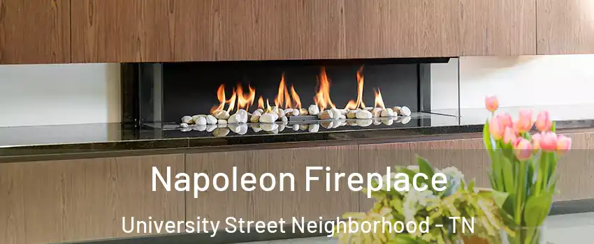 Napoleon Fireplace University Street Neighborhood - TN